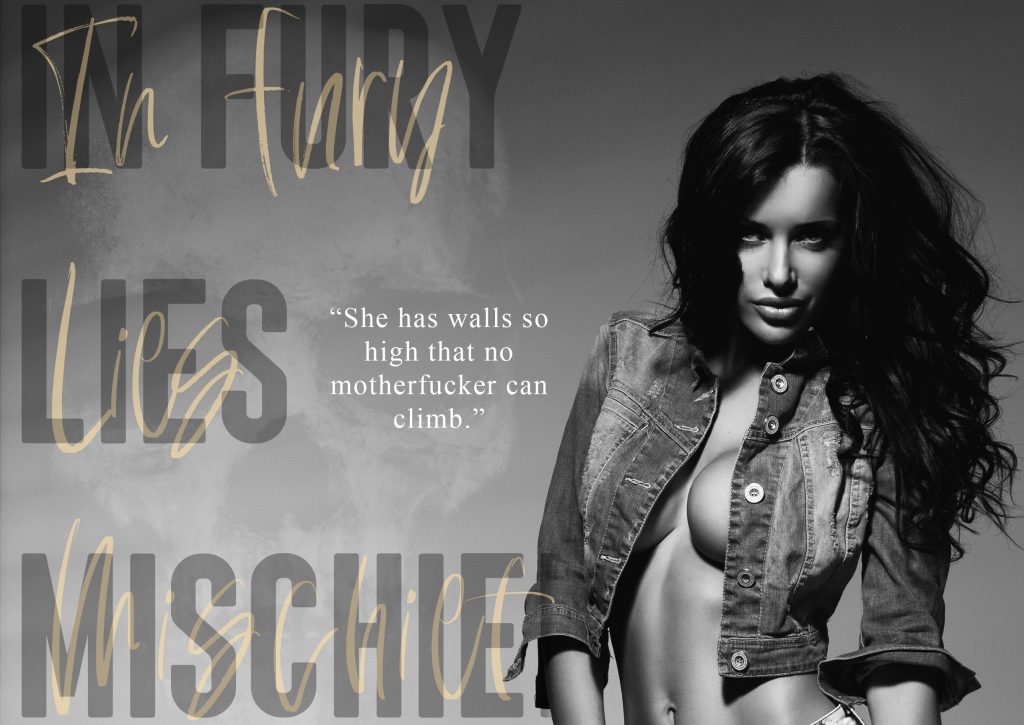 In Fury Lies Mischief by Amo Jones