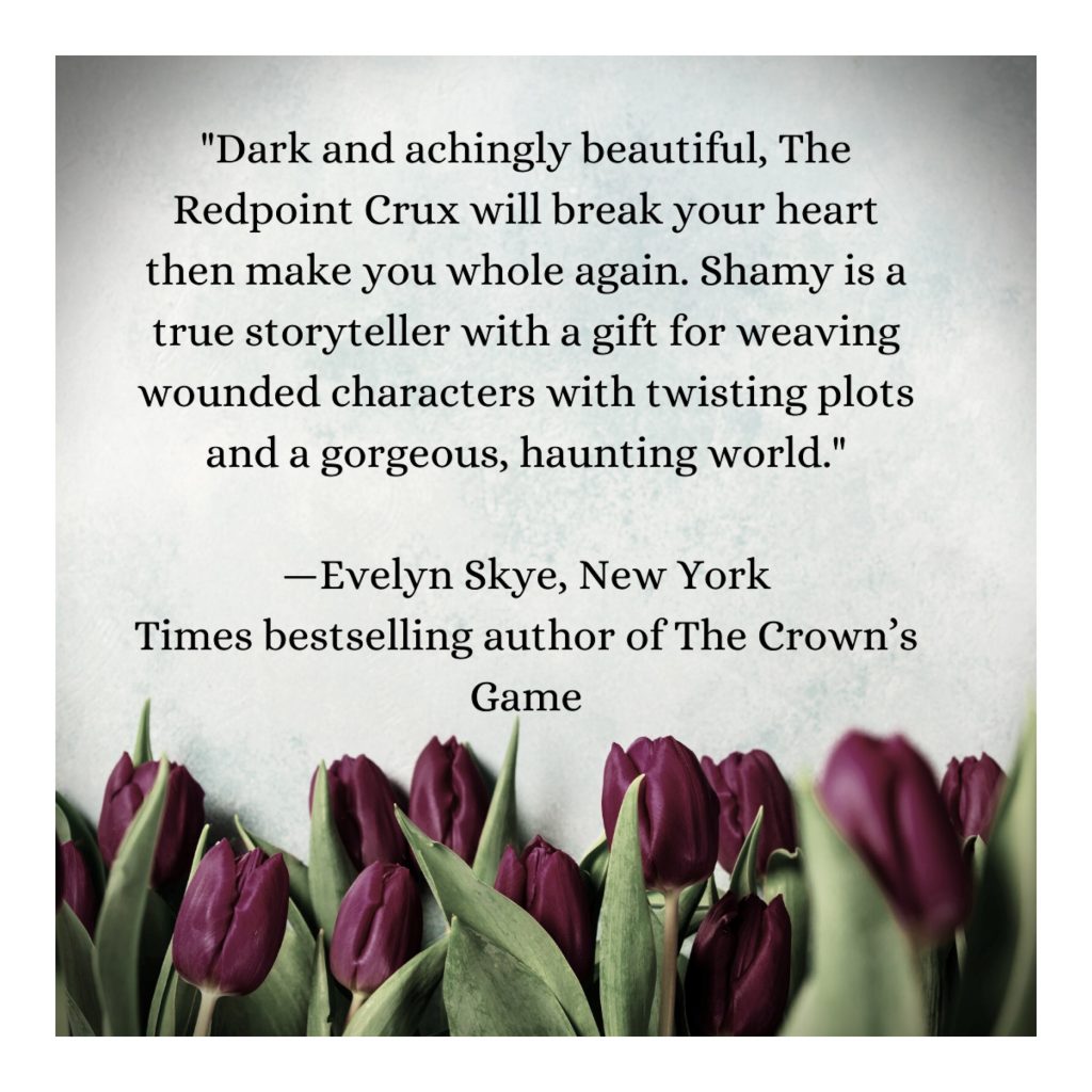 The Redpoint Crux by Morgan Shamy