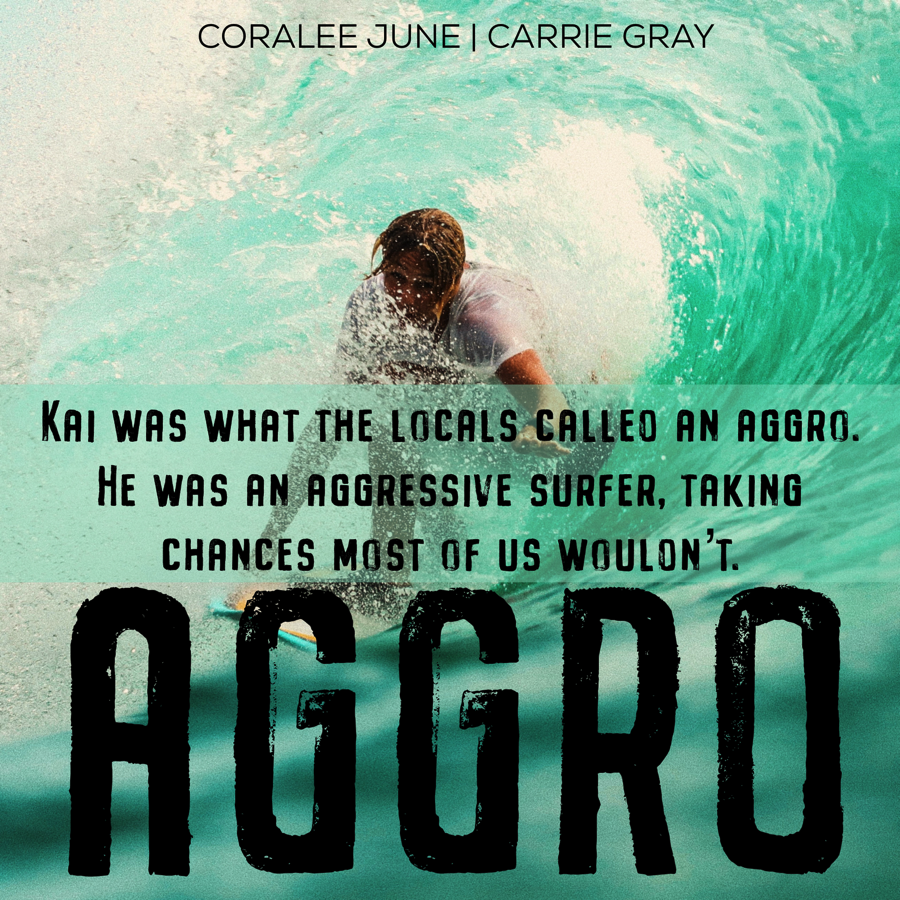 Aggro by Carrie Gray and CoraLee June
